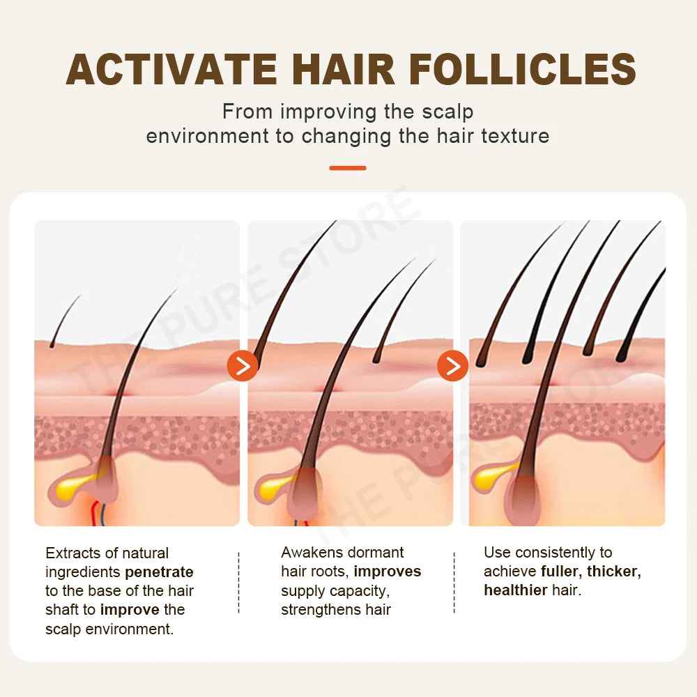 Ginger Shampoo Hair Loss Treatments Nourish Smoothing Thickening Scalp Hair Care Products 600Ml